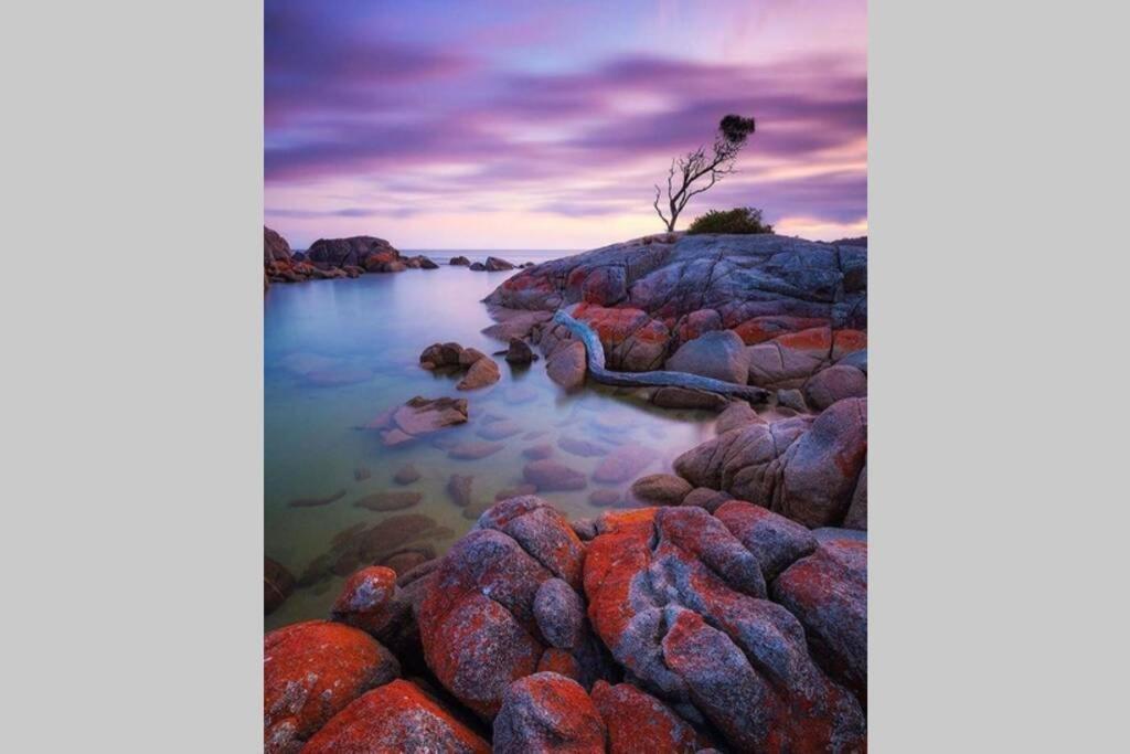 The Tin Shed Couples Accommodation At Bay Of Fires Binalong Bay Exteriér fotografie