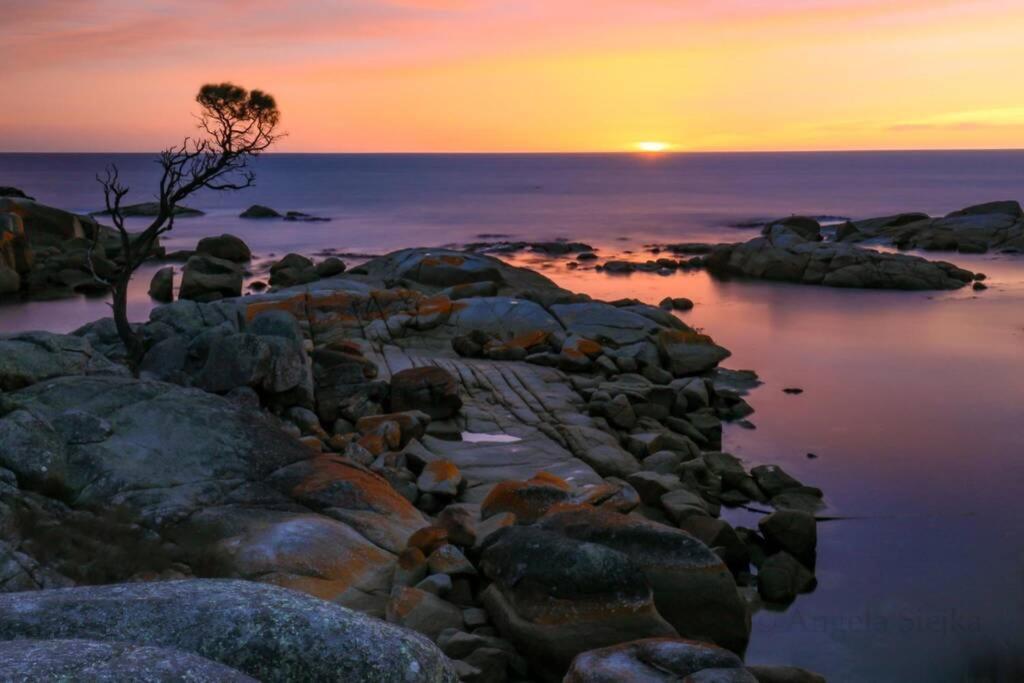 The Tin Shed Couples Accommodation At Bay Of Fires Binalong Bay Exteriér fotografie