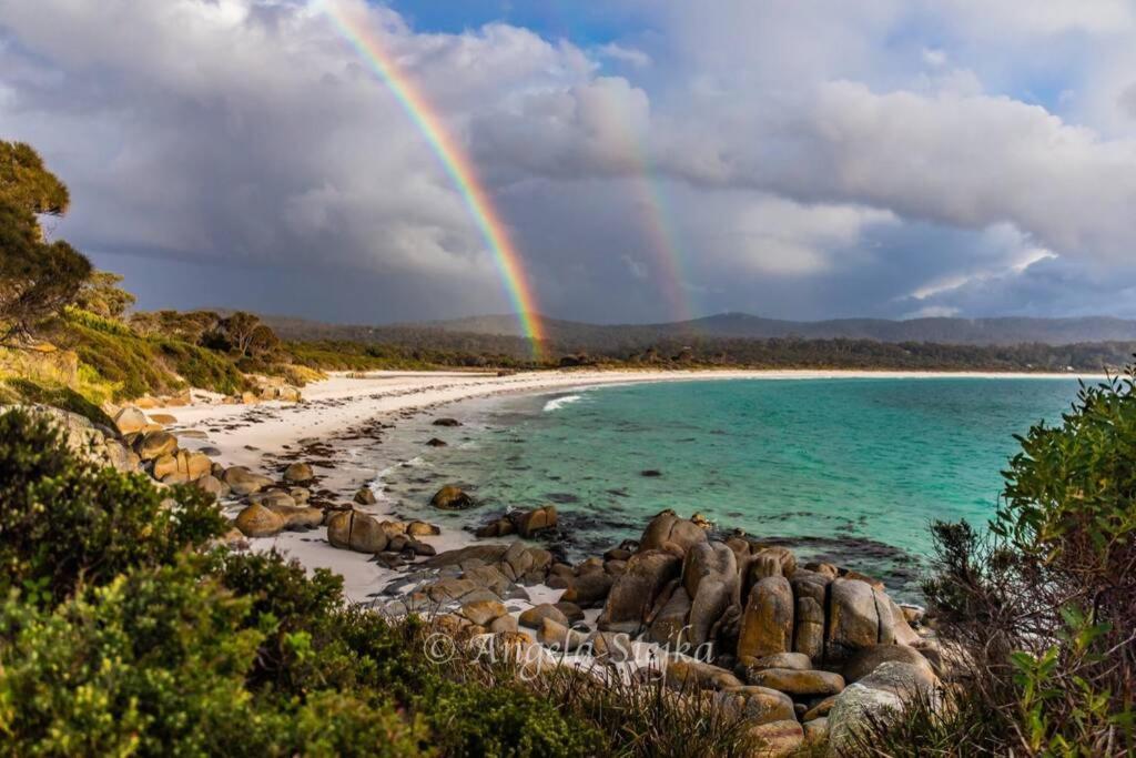 The Tin Shed Couples Accommodation At Bay Of Fires Binalong Bay Exteriér fotografie